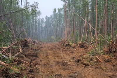 Commercial Land Preparation in Houston, TX