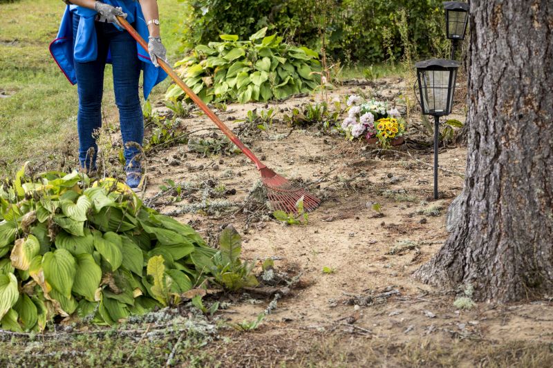 Site Clearing Service in Salt Lake City, UT