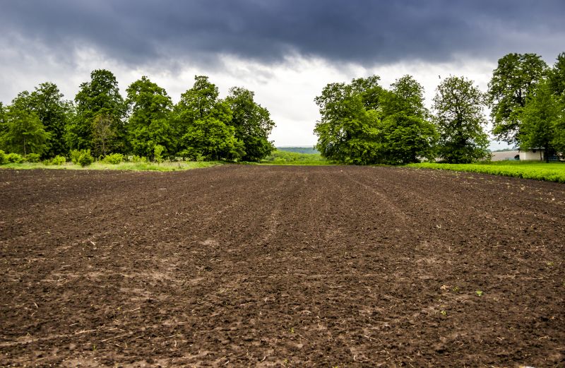 What’s Involved In Professional Land Clearing?